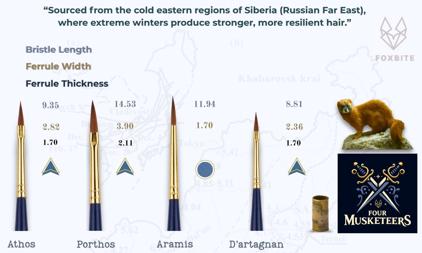 Chart comparing bristle length, ferrule width, and ferrule thickness of brushes with a bear figurine and 'Four Musketeers' logo.